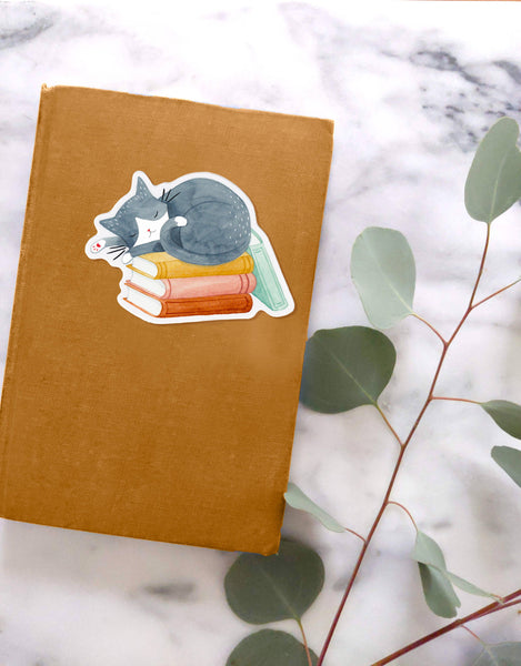 Cat and Books Sticker